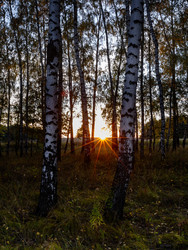 Similar image 22443043