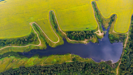 Similar image 22443045