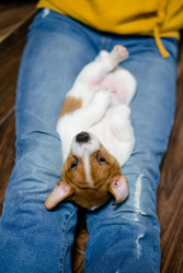 Similar image 22427559