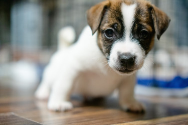 Similar image 22427561