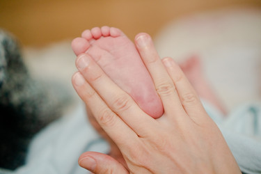 Similar image 22427562