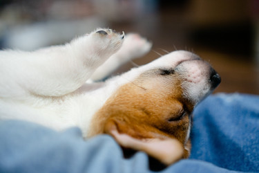 Similar image 22427563