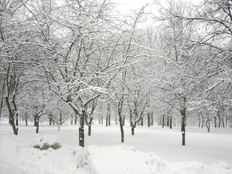 Similar image 22415569