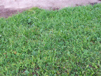 Similar image 22415572