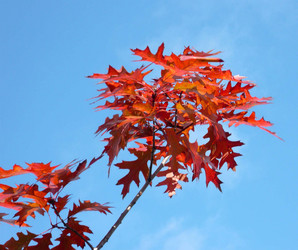 Similar image 22415576