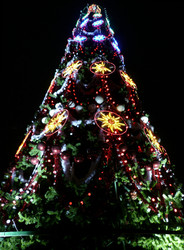 Similar image 22415585