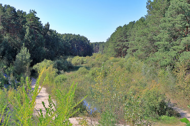 Similar image 22418861