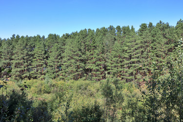 Similar image 22418863