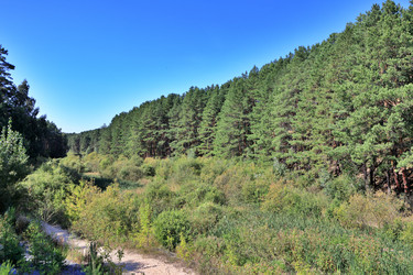 Similar image 22418865