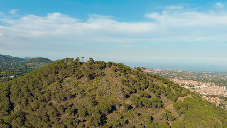 Similar image 22415739