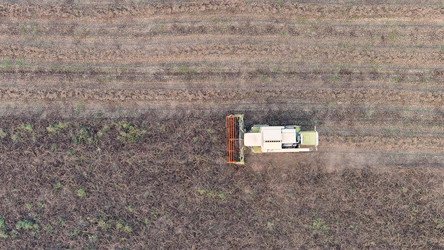 Similar image 22415749