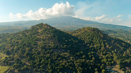 Similar image 22415771