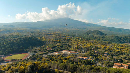 Similar image 22415661