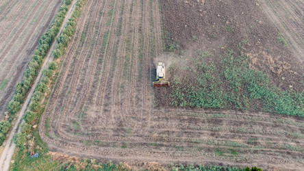 Similar image 22415662