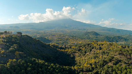 Similar image 22415684