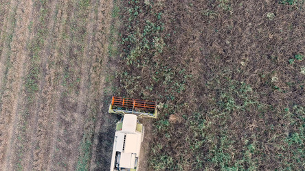 Similar image 22415689