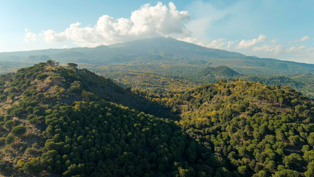 Similar image 22415701