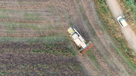 Similar image 22415702