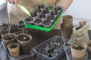 Similar image 22416260