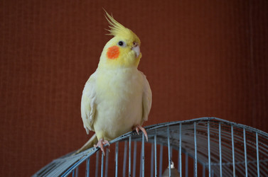 Similar image 22424558