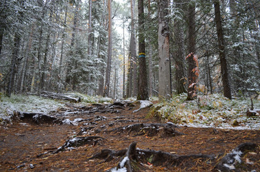 Similar image 22424563