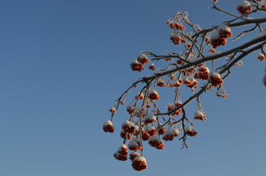 Similar image 22424566