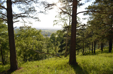 Similar image 22424568