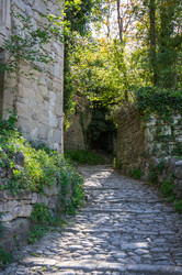 Similar image 22416508