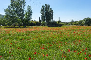 Similar image 22416541