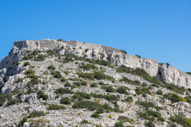 Similar image 22416545