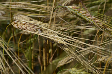 Similar image 22424574