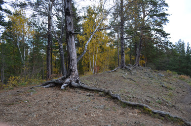 Similar image 22424575