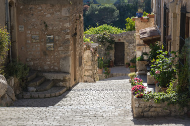 Similar image 22416556