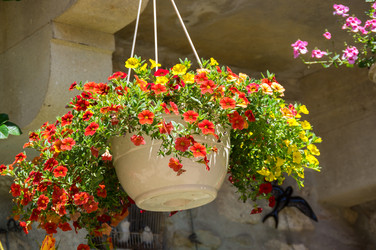 Similar image 22416563