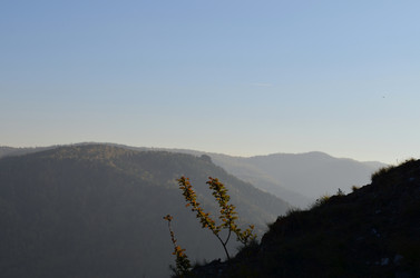 Similar image 22424576