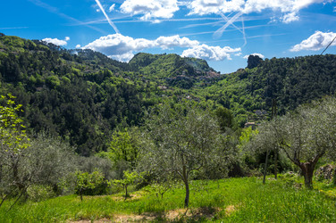 Similar image 22416569