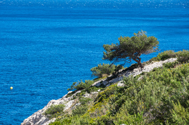 Similar image 22416576