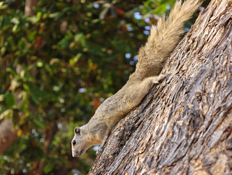 Similar image 22410561