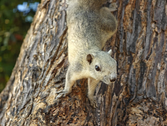 Similar image 22410562