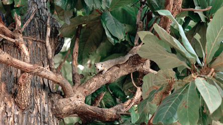 Similar image 22416243