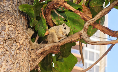 Similar image 22416244