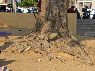 Similar image 22416245