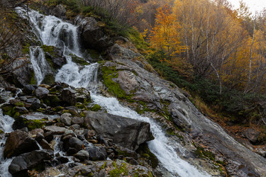 Similar image 22416579