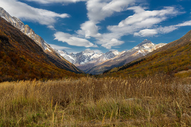 Similar image 22416580