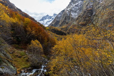 Similar image 22416581