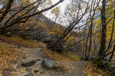 Similar image 22416583