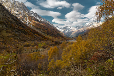 Similar image 22416584