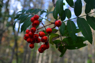 Similar image 22424577