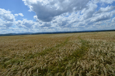 Similar image 22424578