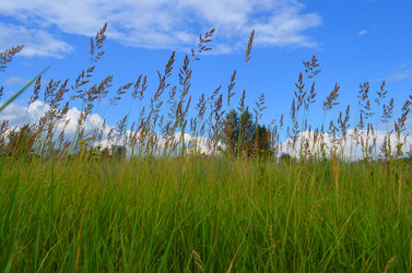 Similar image 22424580